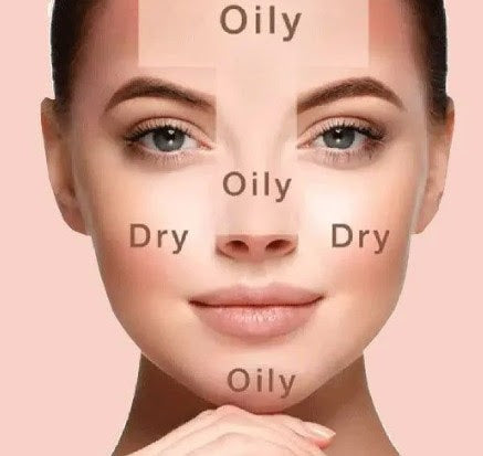 Facial diagram showing different skin types labeled 'Oily' and 'Dry'. Au Natural face cream for combination skin target zones. 