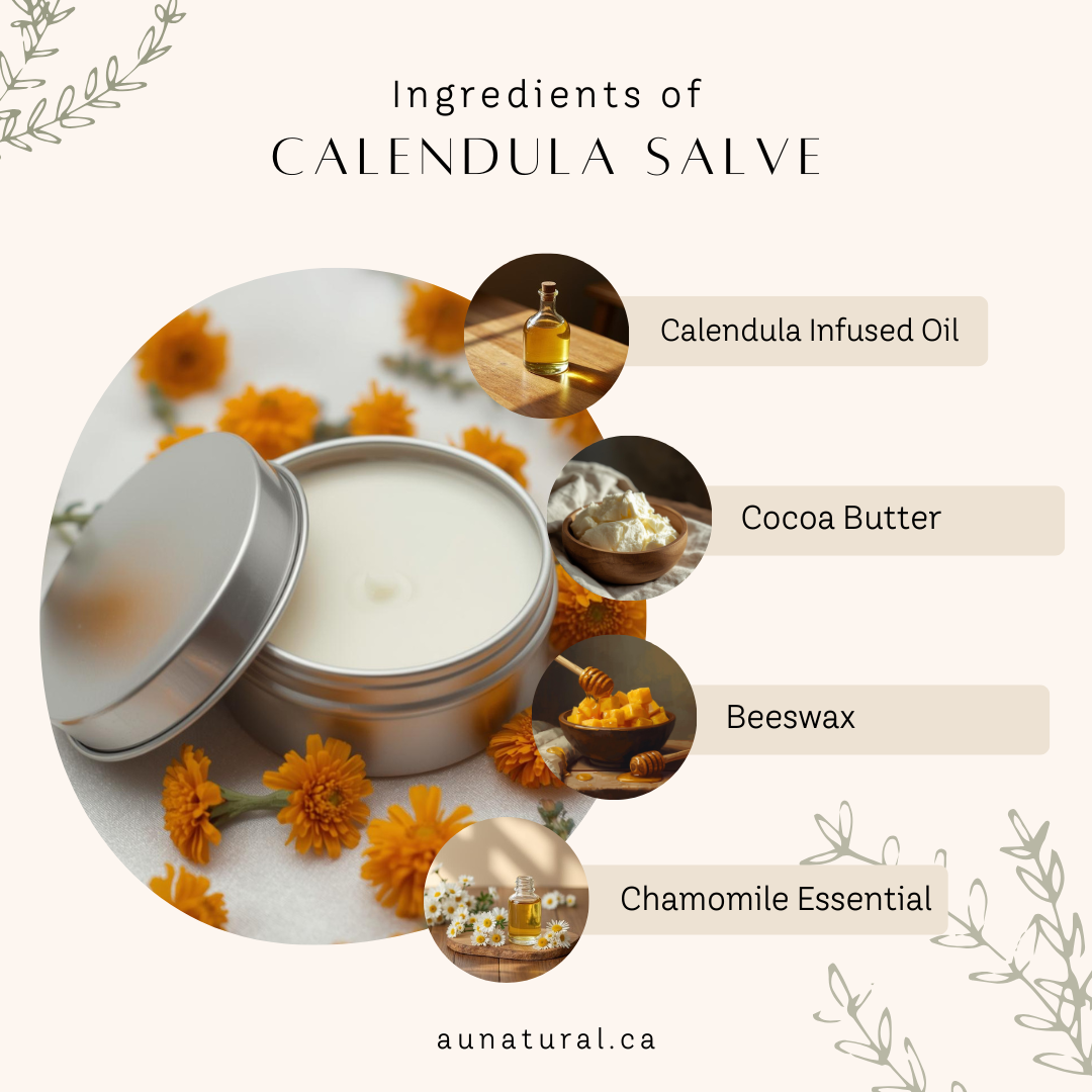 Calendula Salve | Baume au Calendula