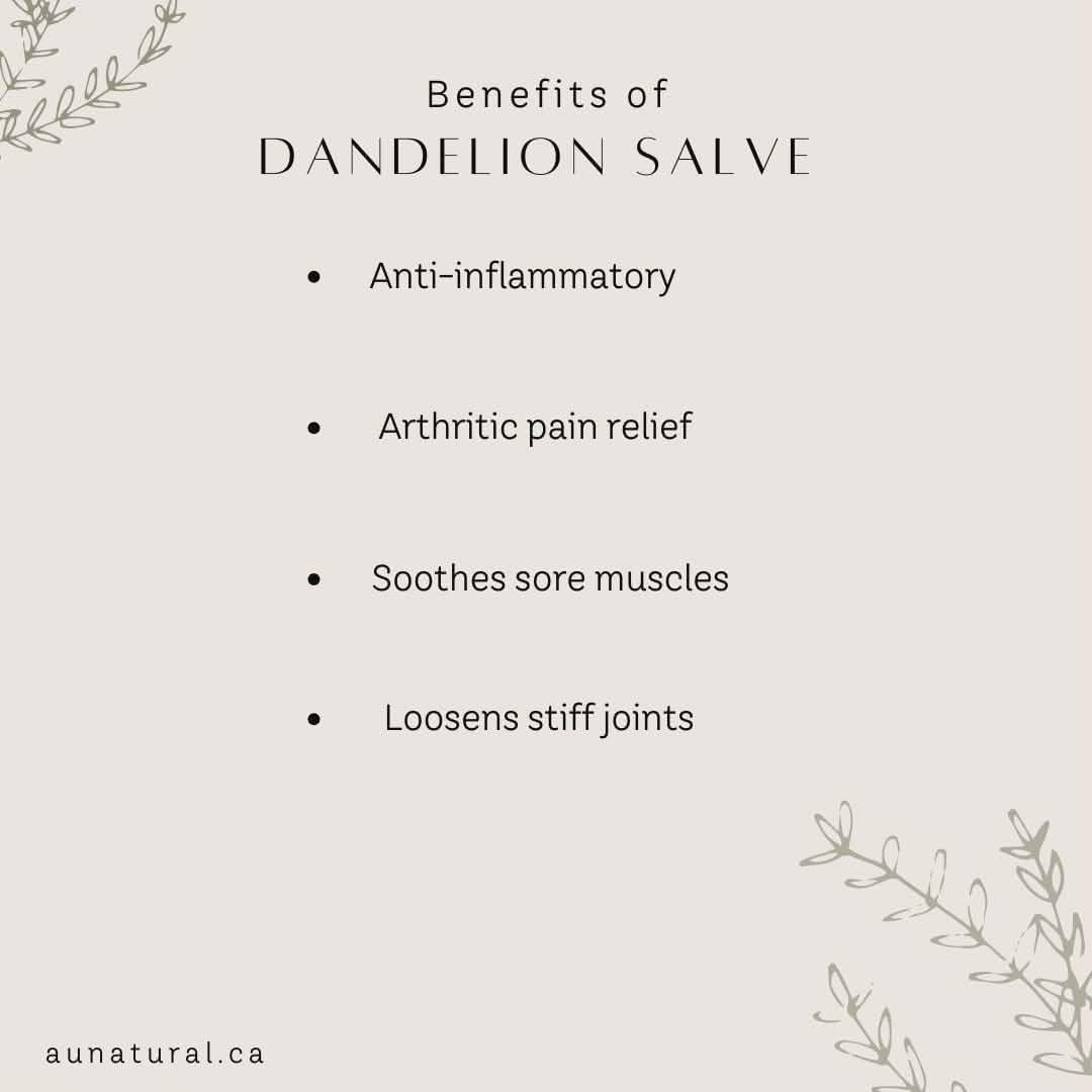Dandelion Salve